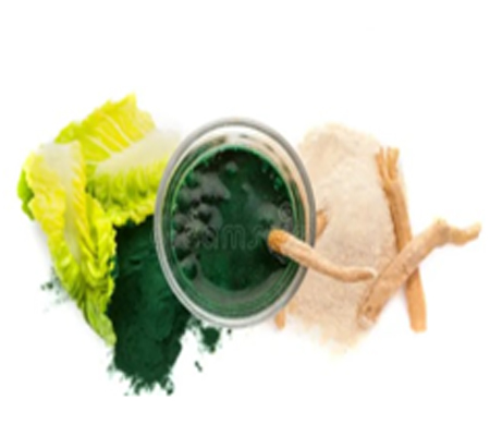 Home Organic Medicine Plants