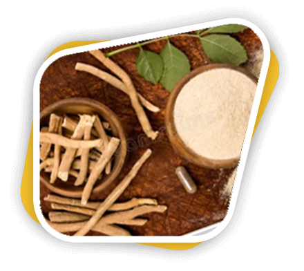 Home Organic Medicine Plants